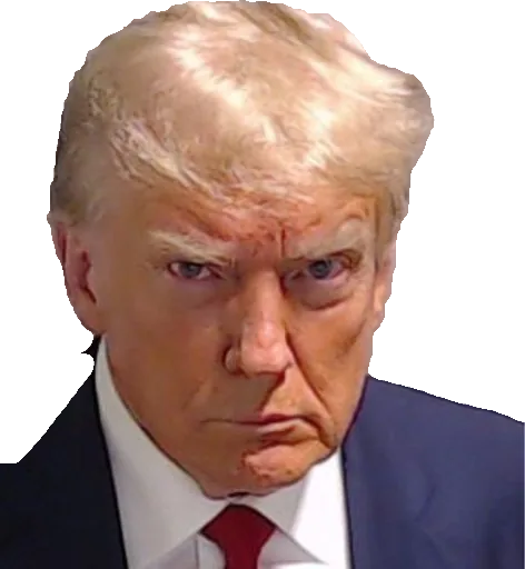 Trump cutout